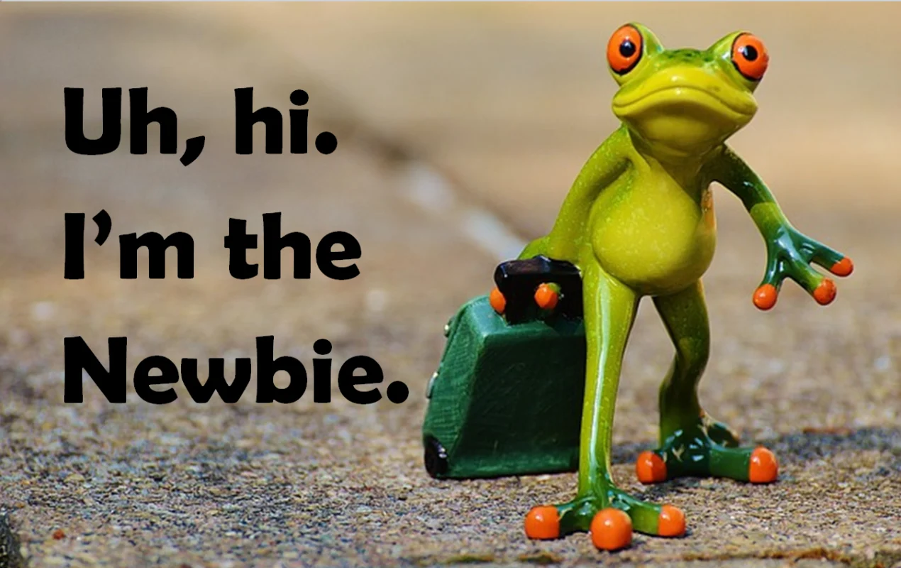 Người Mới Bắt Đầu Muốn Học SEO